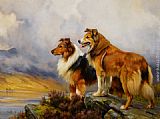 Wright Barker Two Collies Above a Lake painting